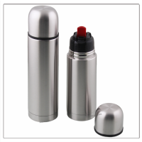 Double Wall Vacuum Insulated Flask 