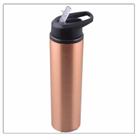 Plain Copper Water Bottle with Sipper