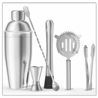 Stainless Steel Cocktail Shaker Set - 6 pieces luxury bartender set